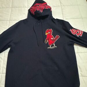 Stylish Black Hoodie with Red Cardinal Design
